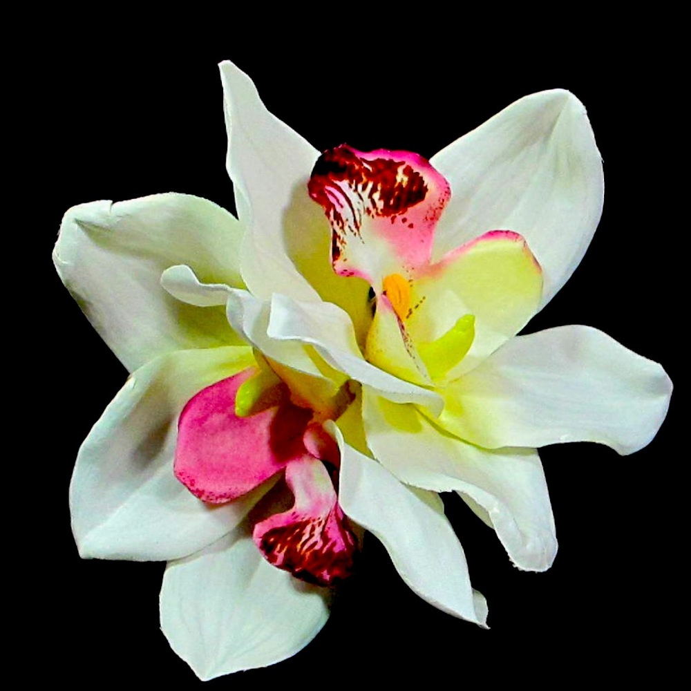 Meet your Posher, Vez